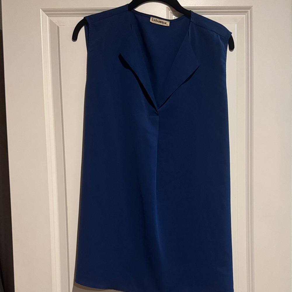 Blue Sleeveless Blouse